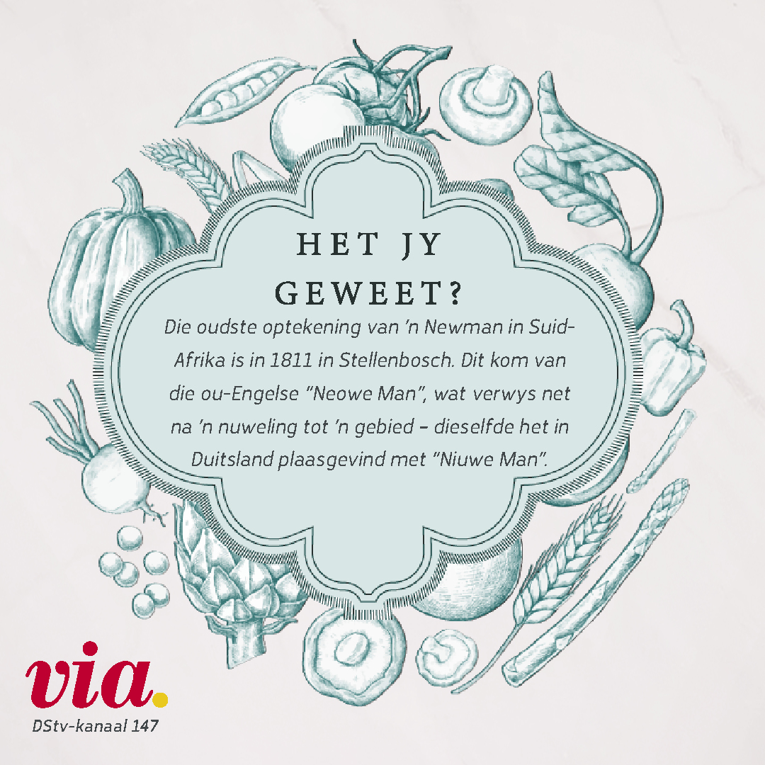 viatv's tweet photo. Mense, dit was nou ’n lekker kuier met @MartelizeBrink en Denise Newman. En die lamsboud het só heerlik gelyk.
Indien jy dalk dié episode van #MartelizeSeStamtafel misgeloop het, kan jy dit nou op Catch Up kyk. Skakel elke Woensdag om 17:00 in op #VIA147. https://t.co/dQvODjRG4A