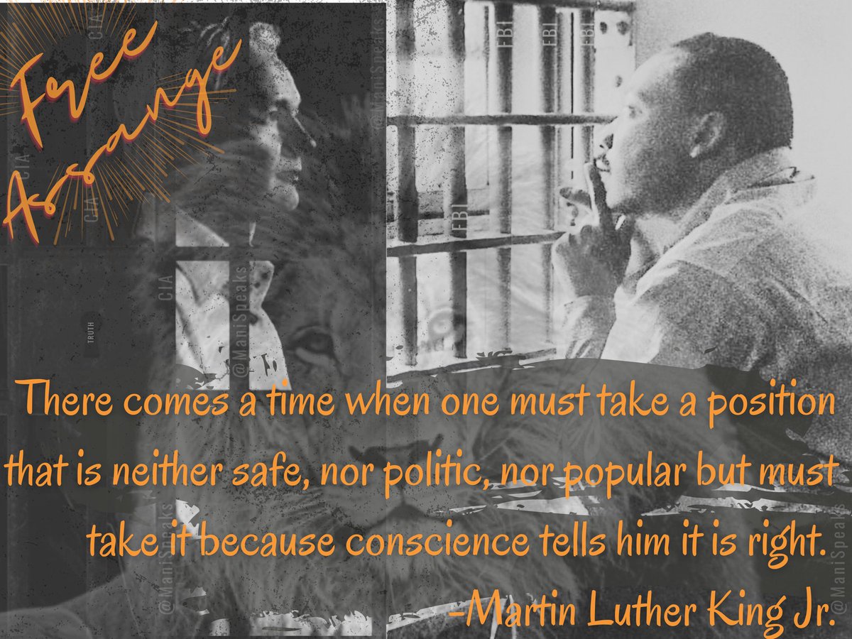 Two lionhearted souls guided by truth and love, both seeking and standing up for the freedoms, peace and happiness of all humans; and both ferociously attacked by the hands of darkness. Their light, honor, and selflessness will forever live on. #FreeAssangeNOW #MLKDay2022 #SWRS