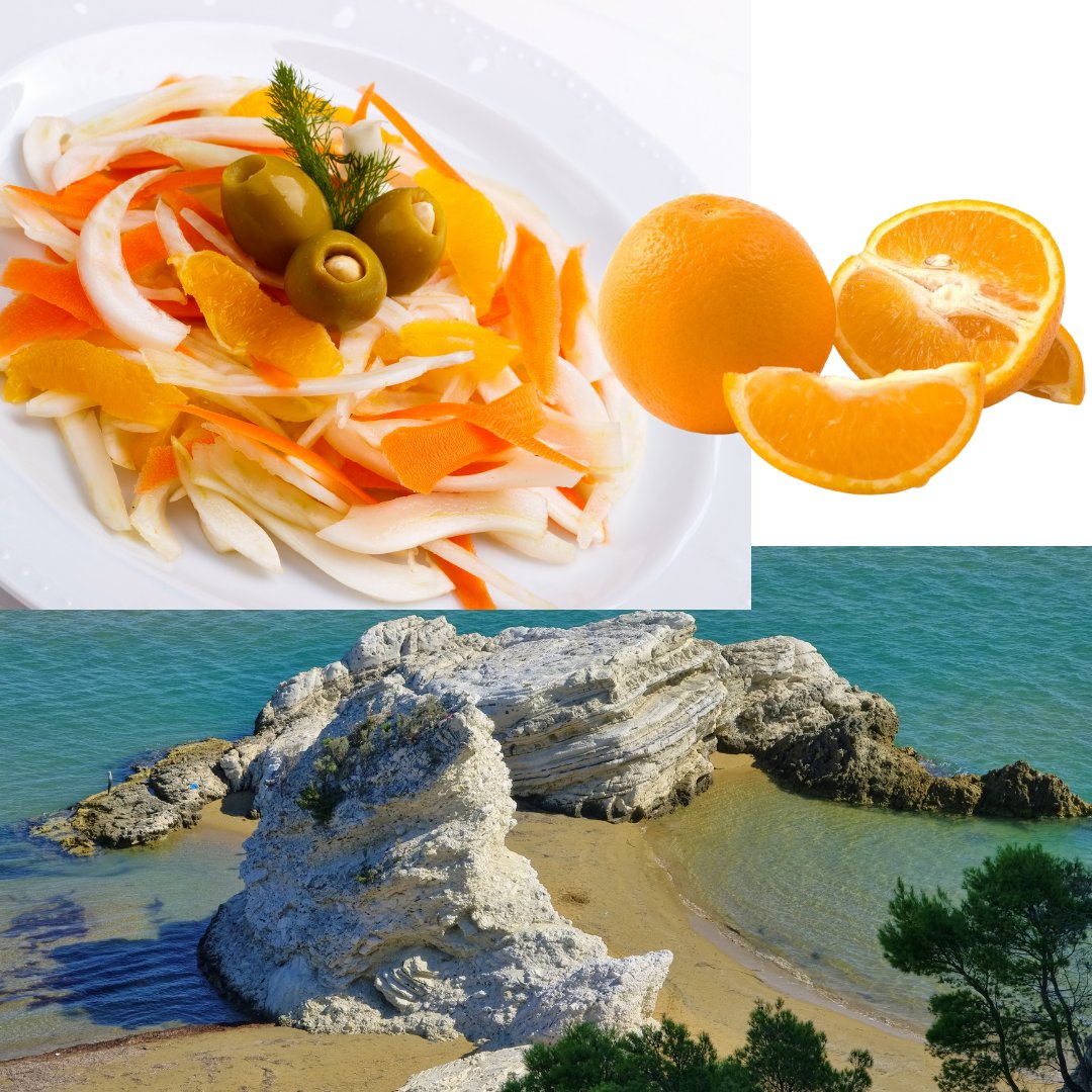 casa_roberta's tweet photo. Fennels and oranges: lovely common Italian salad. But best if you use oranges from Apulia and SIcily: here you can find the best qualities with the IGP trade mark (Indication of Geographic Protection)
#oranges #Italian # fennel #southern #Italy #IGP #highquality #bestquality… https://t.co/TW8xeO0tYi
