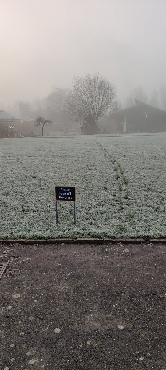 There is always one! #ignoretherules