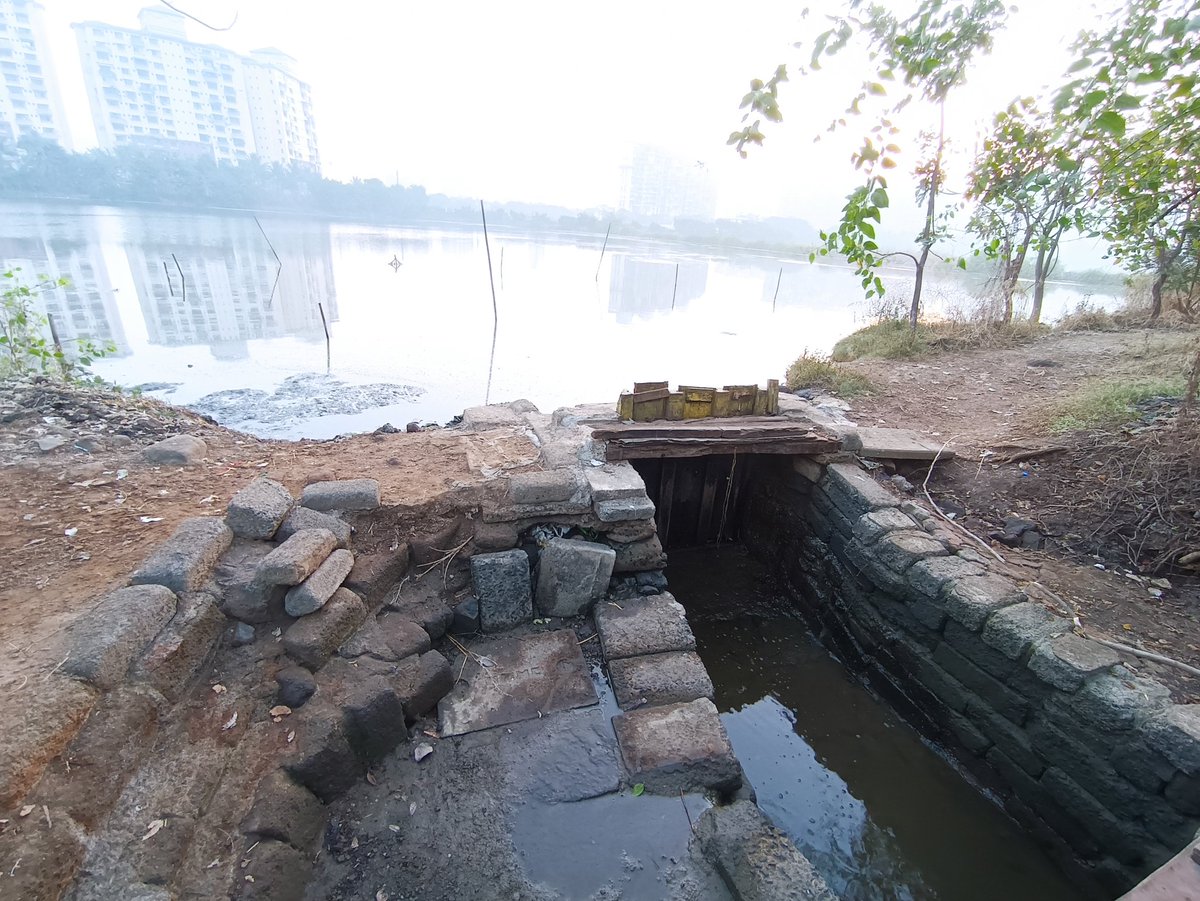 dharmeshbarai's tweet photo. One side, Navi Mumbai wanted to declare Flamingo city & on other side, many encroachments are taking place which keep the flamingos away from their natural habitats. Destructive, artificial fishing in full swing at NRI & TS Chanakya Wetlands
@AUThackeray pls intervene immediately https://t.co/myFYwImcM2