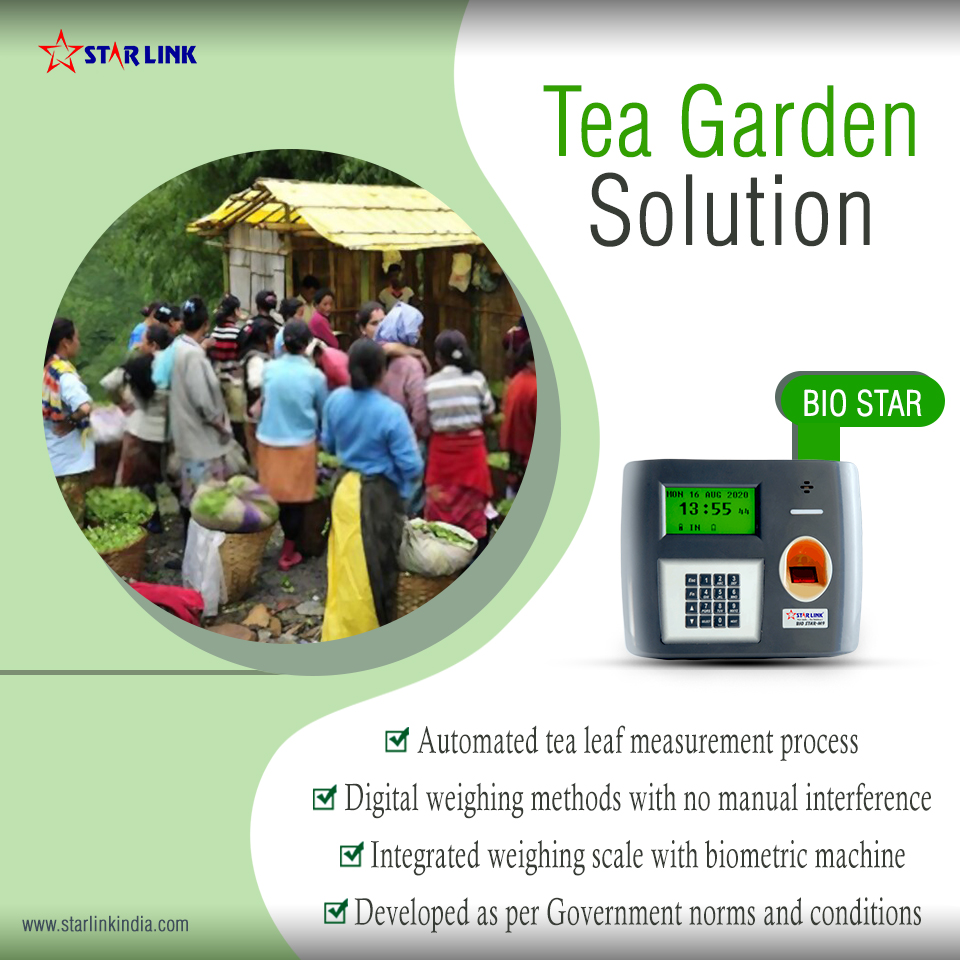 starlinkindia's tweet image. Solution for a Tea Garden A great combination of biometric attendance machine and software for the tea garden business, particularly labour forces, for exact tea leaf computation and stress-free administration.

youtube.com/watch?v=r8JmjO…
bit.ly/2rgJi73
#TeaGardenSolution