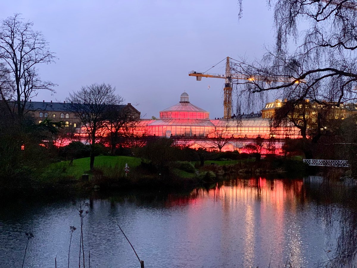 We’re back! Wildlife Photographer of the Year. The Zoological Museum’s last year and the spectacular Palm House. Come see us! We need your support! #OpenMuseums