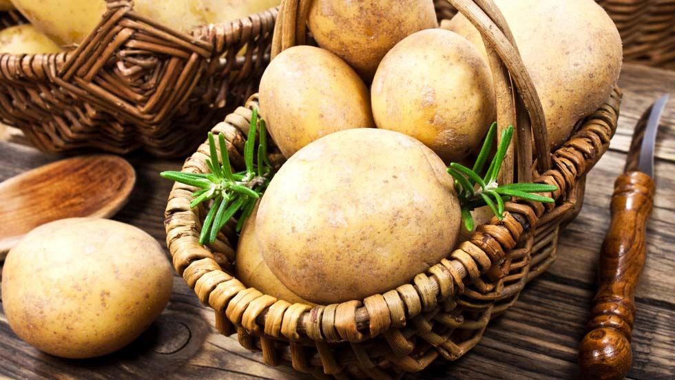BZL_aktuell's tweet photo. Der Pro-Kopf-Verbrauch von Kartoffelerzeugnissen (z.B. #Pommes) in 🇩🇪 sank 📉 im Wirtschaftsjahr 2020/2021 #coronabedingt um 0,4 kg im Vergleich zum Vorjahr, wohingegen der Pro-Kopf-Verbrauch von Frischkartoffeln in 🇩🇪 um rund 3 kg anstieg 📈.
➡ https://t.co/UVHbfNBWY2 https://t.co/EvOR5vh3iR