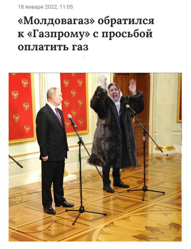 seregaserega73's tweet photo. Бггг🤣🤣🤣 https://t.co/0XgCCJHCBZ