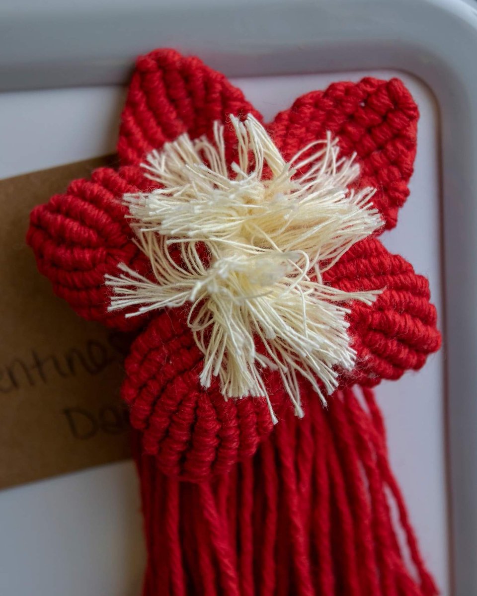 Nutty Knots Macrame tweet media