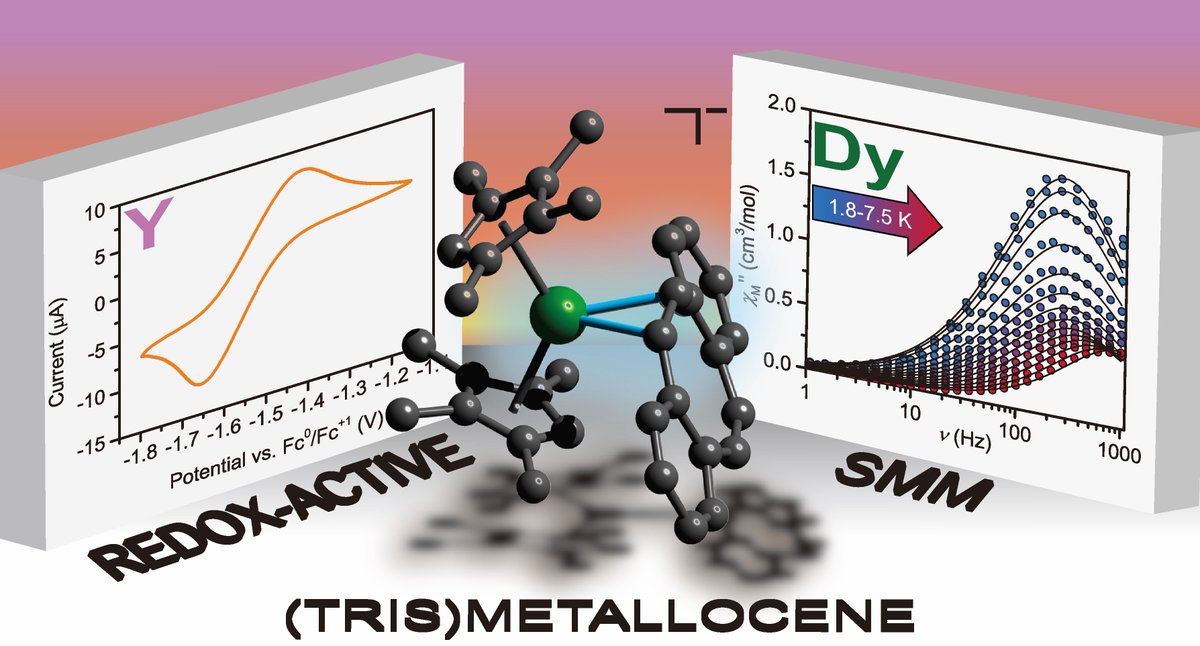 Selly Demir tweet media