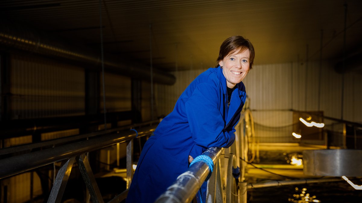 FutureEUAqua 🐟 tweet media