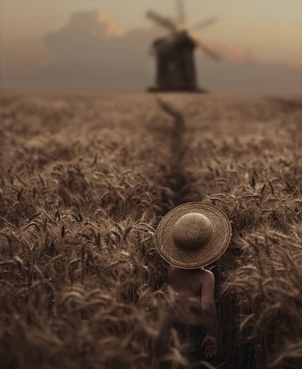 LaSuperMuse's tweet photo. ¡Buenos días, amigos Sanchos!
Ya sé que son molinos… pero
¡A por ellos!
¡Porque los pusieron los gigantes!
#ReLOVEution https://t.co/J4GszX2h43