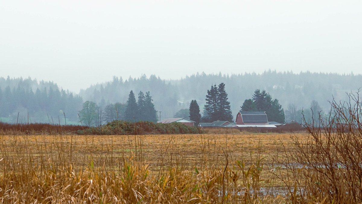 aracelitaranto's tweet photo. A few photos from my cross country road trip to Canada. More to come. Washington and Oregon were a fave. #workoverseas #roadtripacrossthesea #westcoast   #Washington #oregon #photography https://t.co/S5PaqH1eDi