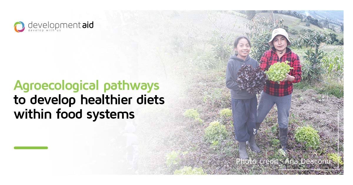 devaidnews's tweet photo. #Malnutrition is a serious problem that affects the #health of millions of people worldwide. How can working with nature &amp; #empoweringwomen contribute to healthier diets? And how can #agroecology save the day? Read more in our recent article

#foodsystems 
https://t.co/ppvF1umScA https://t.co/6SSwt5QnHm