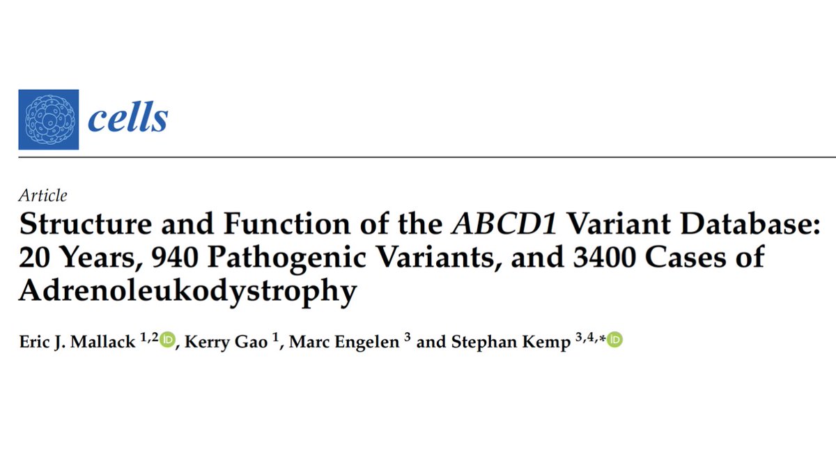 ald_team's tweet photo. An updated analysis of the known variants in ABCD1 as catalogued over the past 20 years. We illustrate the importance of collaboration and utility of the database as a scientific, clinical, and ALD-community-wide resource. Free: https://t.co/Pxy8UzIsDd @MDPIOpenAccess https://t.co/WKadcEChnL