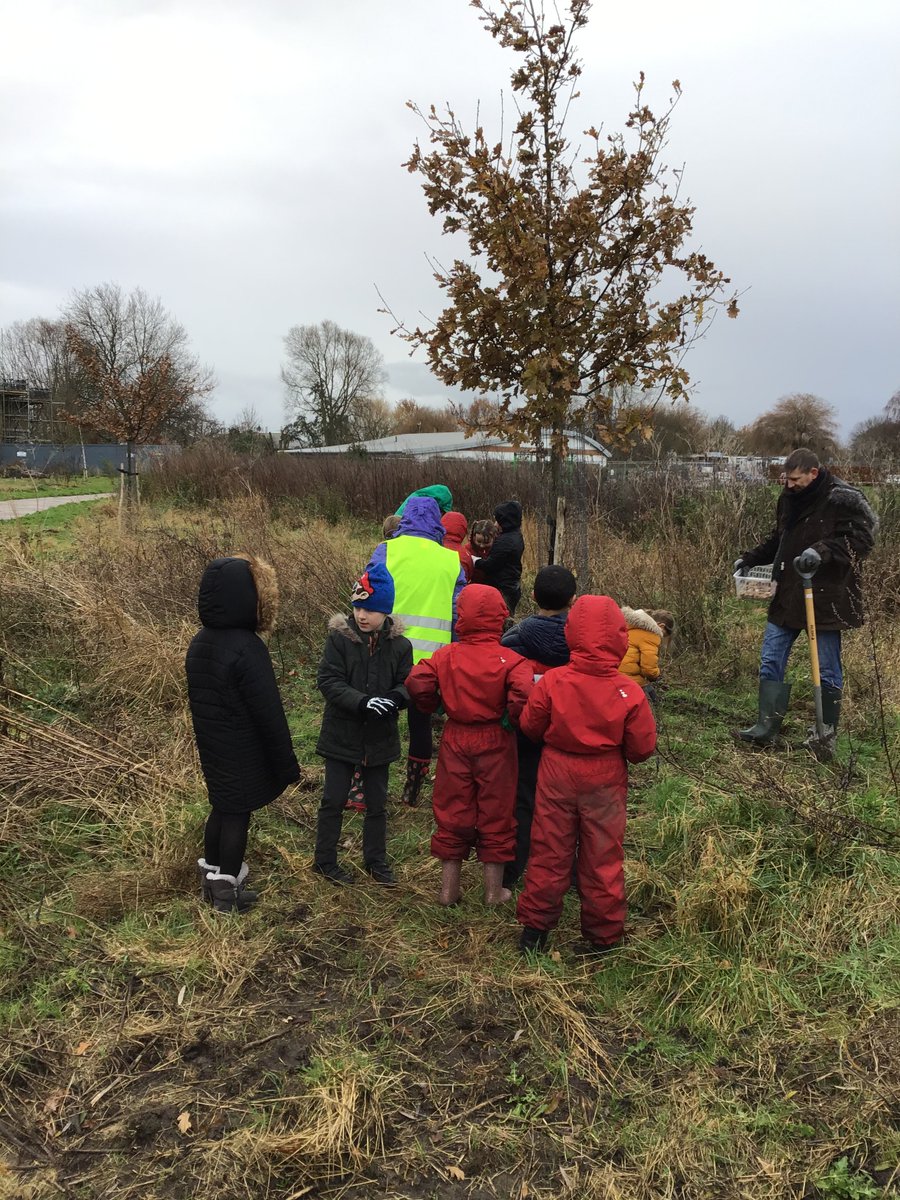 St Stephen's Infant School tweet media