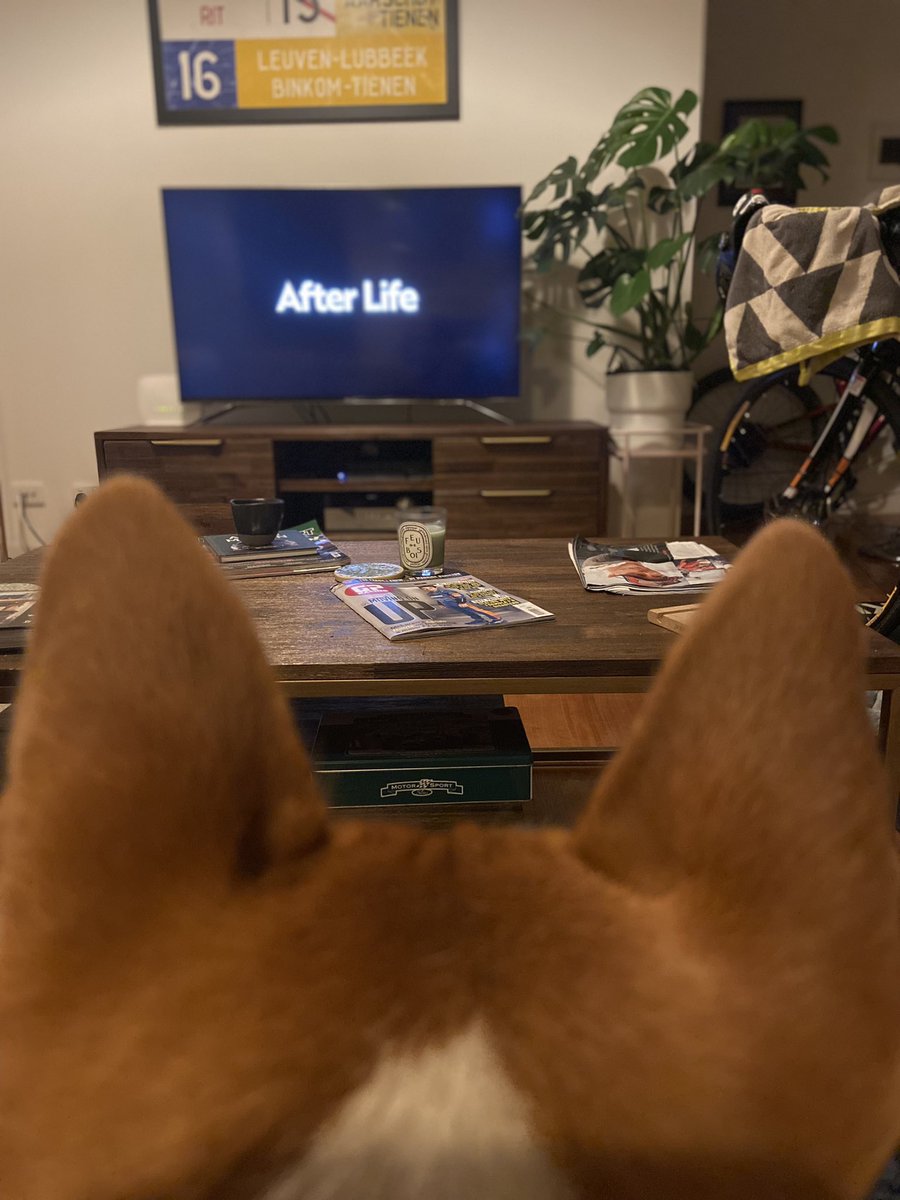 Mg652891's tweet photo. @rickygervais wow. Even my dog wants to watch After Life. Thank you for the acknowledgment of the pain of losing someone. https://t.co/ErLqCUUl5E