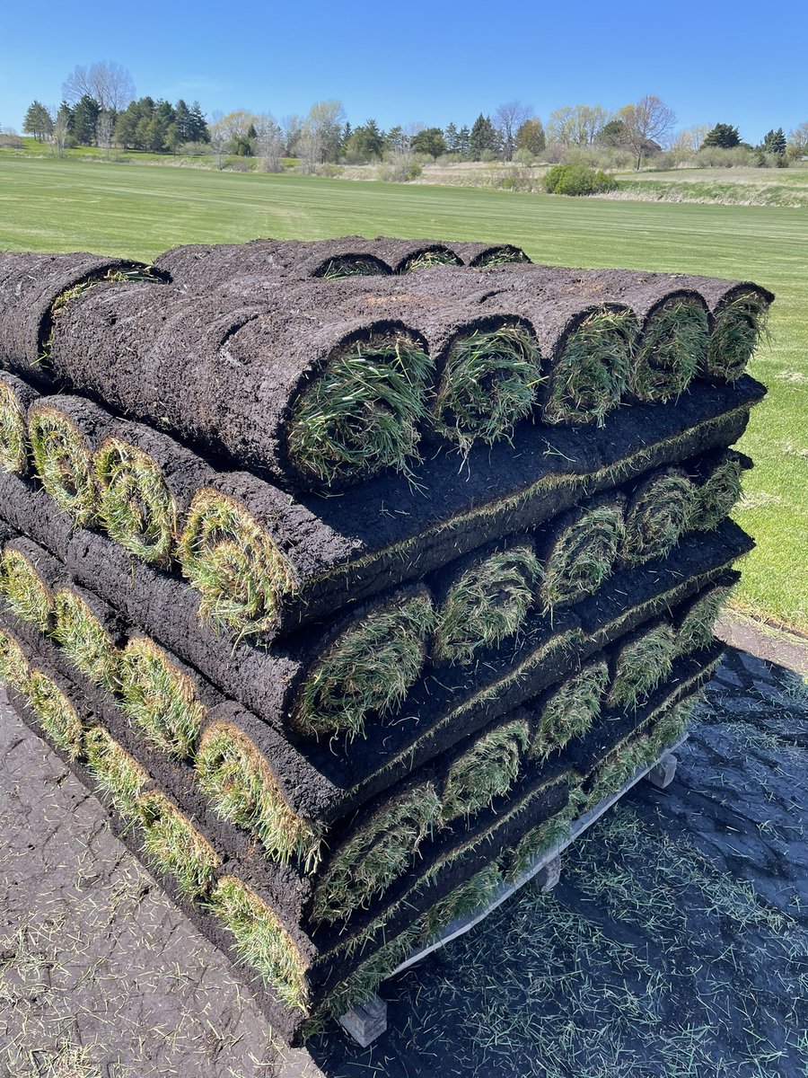 DeBuckSodFarm's tweet photo. Thinking about last year and planning how to make this season even better! There is a lot that happens during the off season to prepare for success.
#seeyouinthespring #realgrass #planandprepare https://t.co/sKw6FQP9OR