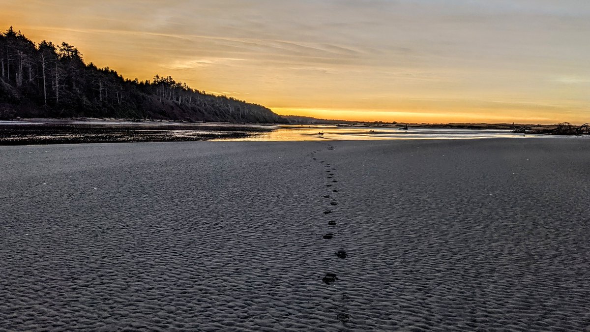 Copalis_Beach's tweet photo. #CopalisBeach #CopalisRiver #Sunrise #WashingtonCoast https://t.co/Kvof8zWh77