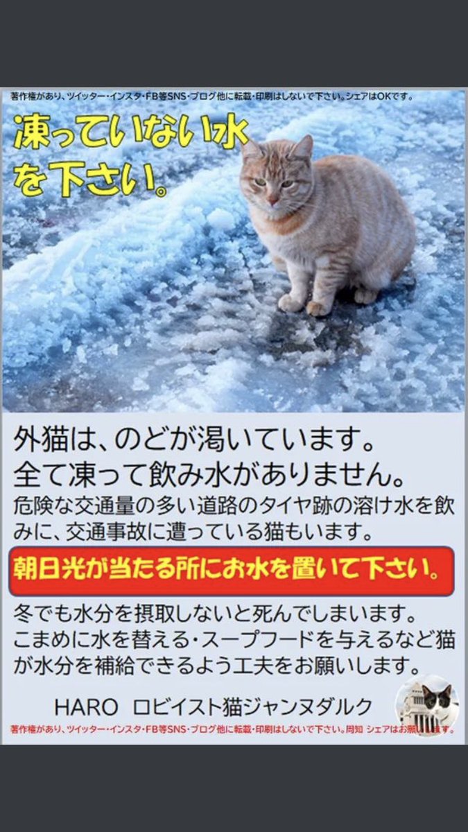 タグ 虐待あかん の注目ツイート メガとんトラック