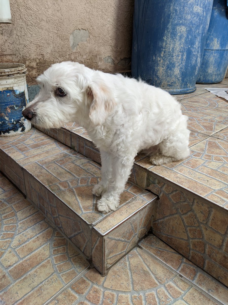 Isso é numa folga danada. Se fosse um banquinho, ela cruzaria as pernas.