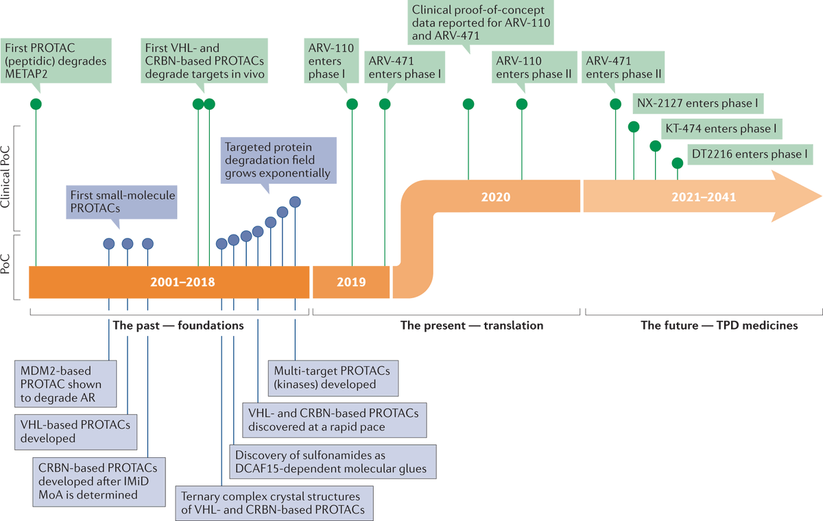 Nature Reviews Drug Discovery (@natrevdrugdisc) on Twitter photo PROTAC targeted protein degraders: the past is prologue go.nature.com/3rwBUQb - a new review by <a href="/miklosbekes/">Miklos Bekes</a> and David Langley <a href="/ArvinasInc/">Arvinas</a> and <a href="/CraigMCrews/">Craig Crews</a> covering the status of clinical translation of targeted protein degradation and key areas for the future of the field PROTAC targeted protein degraders: the past is prologue go.nature.com/3rwBUQb - a new review by <a href="/miklosbekes/">Miklos Bekes</a> and David Langley <a href="/ArvinasInc/">Arvinas</a> and <a href="/CraigMCrews/">Craig Crews</a> covering the status of clinical translation of targeted protein degradation and key areas for the future of the field