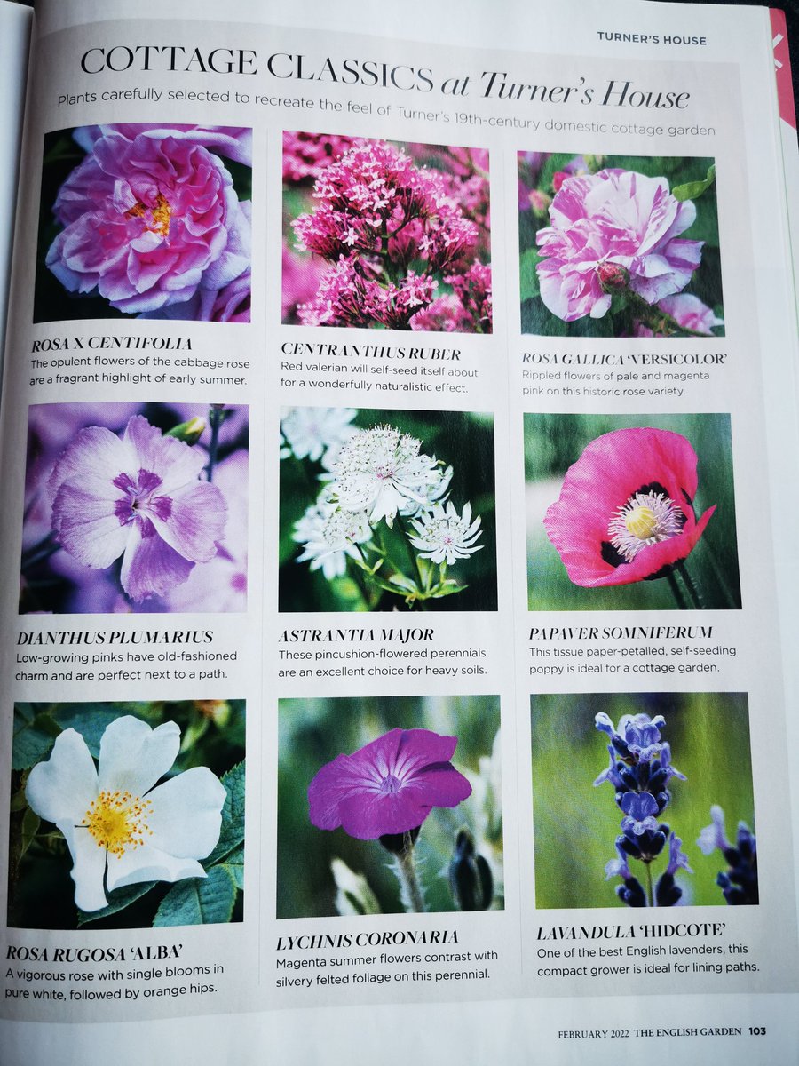 Lovely 5 page feature in February's edition of The English Garden on Turner's House. "an enduring testament to his design skills. It is surrounded by a beautiful small garden that captures the flavour of his time in residence". <a href="/TEGmagazine/">The English Garden</a>  #gardens