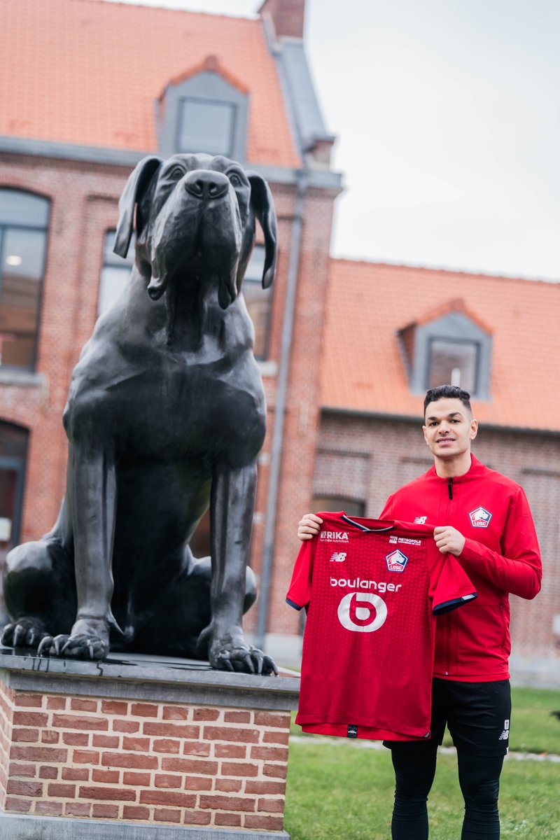 LOSC tweet media