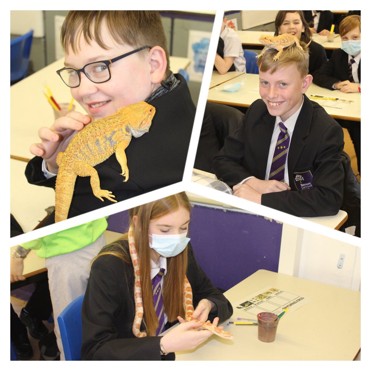 Belmont_School's tweet photo. Y8 had the fantastic opportunity to look at, touch, photograph and draw creatures for their new art project. Thanks to Crazy Creatures North East for great day #crazycreatures #artproject https://t.co/Lqq5IpwNOg