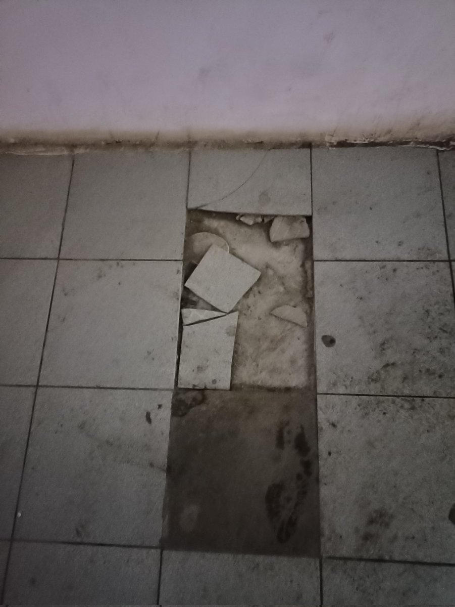 Галина tweet media