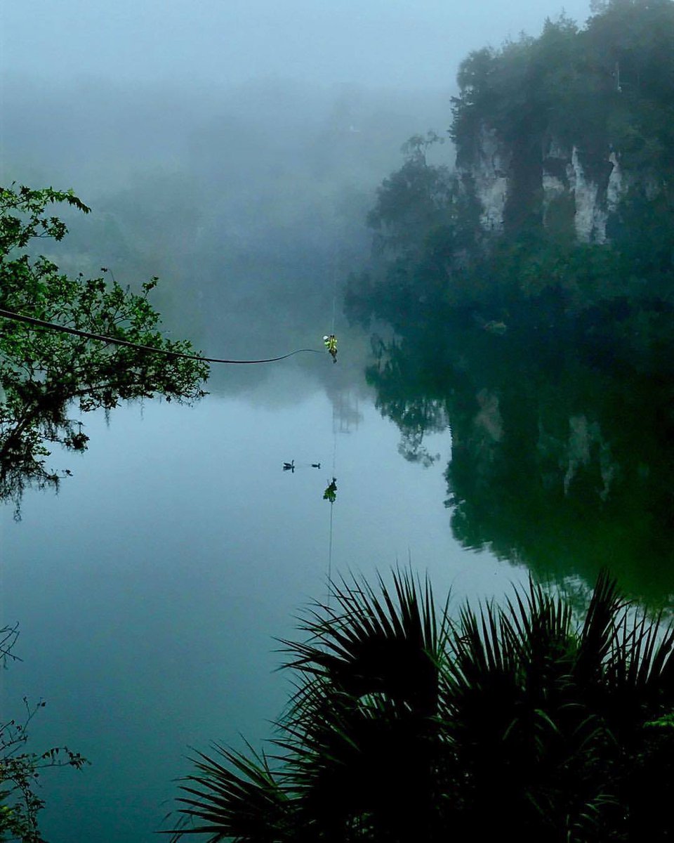 Foggy line run checks 👻