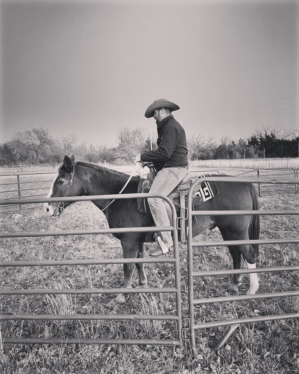 HouseCattle's tweet image. They say a horse is a mirror of your soul. I’m beginning to be that to be true.