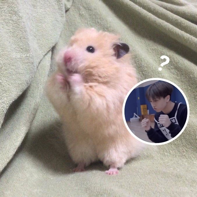 จีซองนั่นแกอีกแล้วหรอ 55555555555
