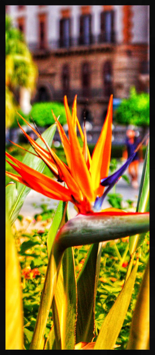 Stephen Michael Cantrel. tweet media