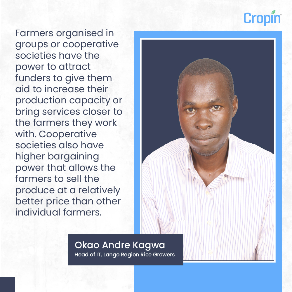 CropInTech's tweet photo. In our most recent edition of #SeedsOfThought, we caught up with Andre Okao Kagwa, the Head of IT for Lango Region Rice Growers in northern #Uganda.
Head to the our website to read more: https://t.co/K6LFmuJ93X
#DigitalFarming #D4Ag #SmallholderFarmers #LangoRegion #Africa https://t.co/FXVnZE8AJA