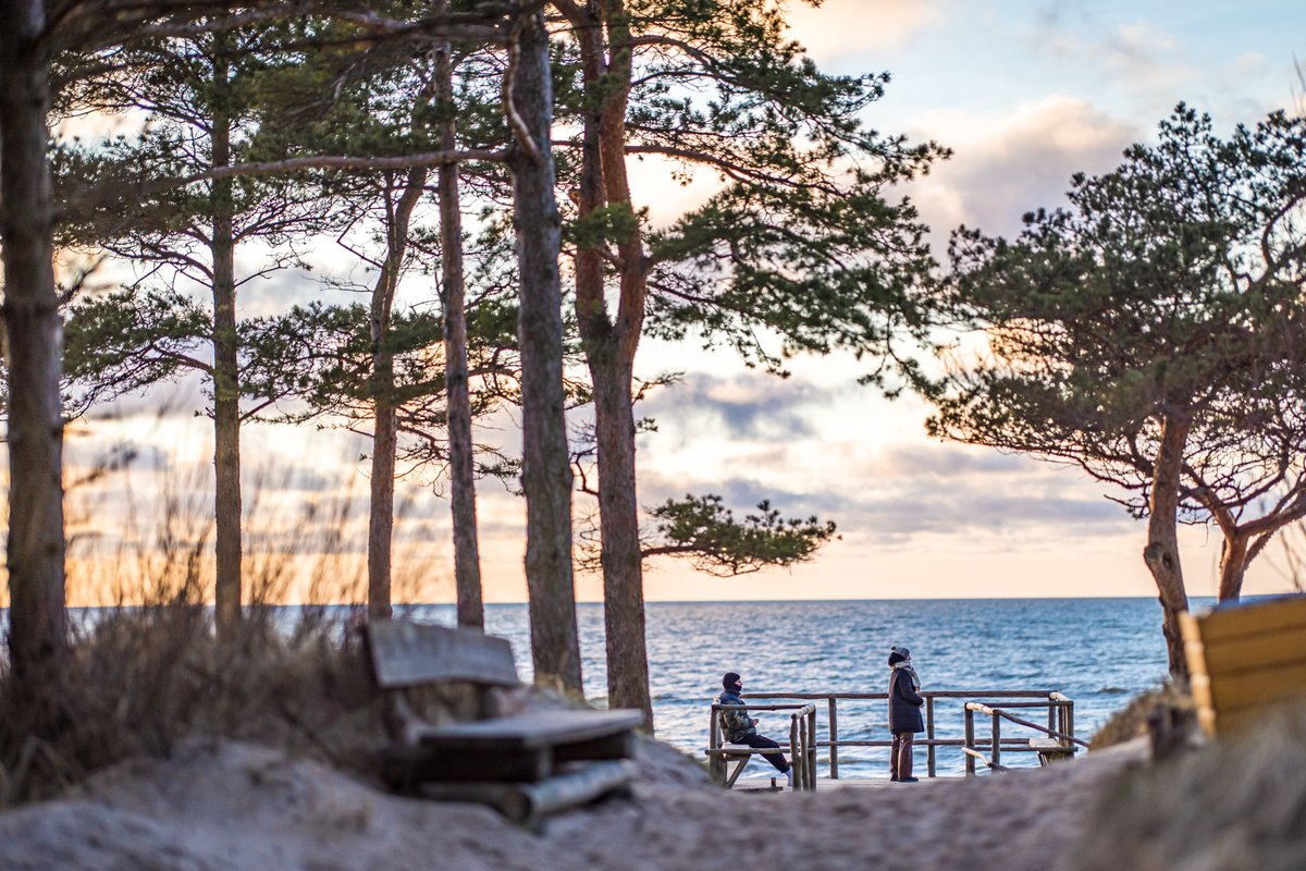 CityPalanga's tweet photo. A little bit of summer even in winter. ❄️🌤
#palanga #sunnywinter #beachwinter #sea #sun #lithuaniannature #balticsea #balticseaside #lithuania https://t.co/LF8iea7HvS