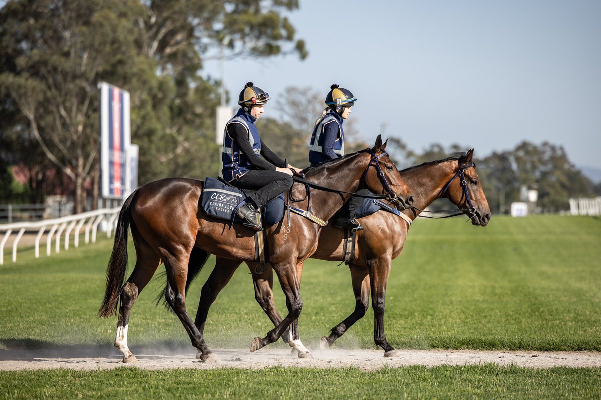 Claire Lever Racing tweet media