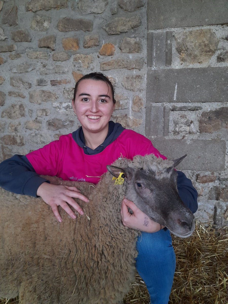 Interbev_PdL's tweet photo. #ovinpiades
La finale #paysdelaloire
🥇Lise Echard
🥈Margot Rochard
sont les meilleurs jeunes bergers et iront en final au #SIA2022
👏Elles représenteront avec fierté leur #territoire, leur lycée face à 38 candidats
@Inn_Ovin @campusdepouille #LEGTA Laval https://t.co/5yynEKsSKd