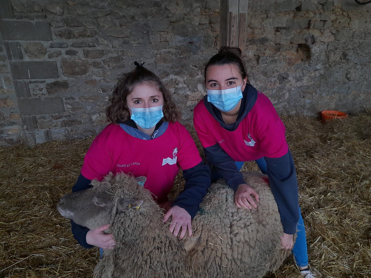 Interbev_PdL's tweet photo. #ovinpiades
La finale #paysdelaloire
🥇Lise Echard
🥈Margot Rochard
sont les meilleurs jeunes bergers et iront en final au #SIA2022
👏Elles représenteront avec fierté leur #territoire, leur lycée face à 38 candidats
@Inn_Ovin @campusdepouille #LEGTA Laval https://t.co/5yynEKsSKd