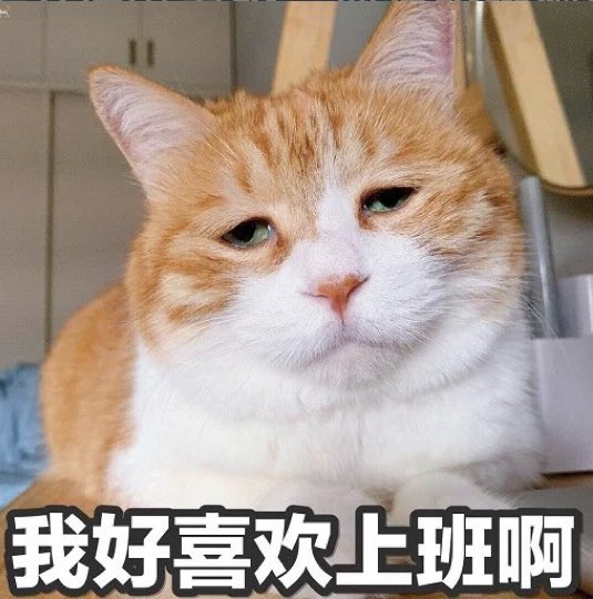 lemon5920's tweet photo. @_afun https://t.co/e2PoY4H5Qs