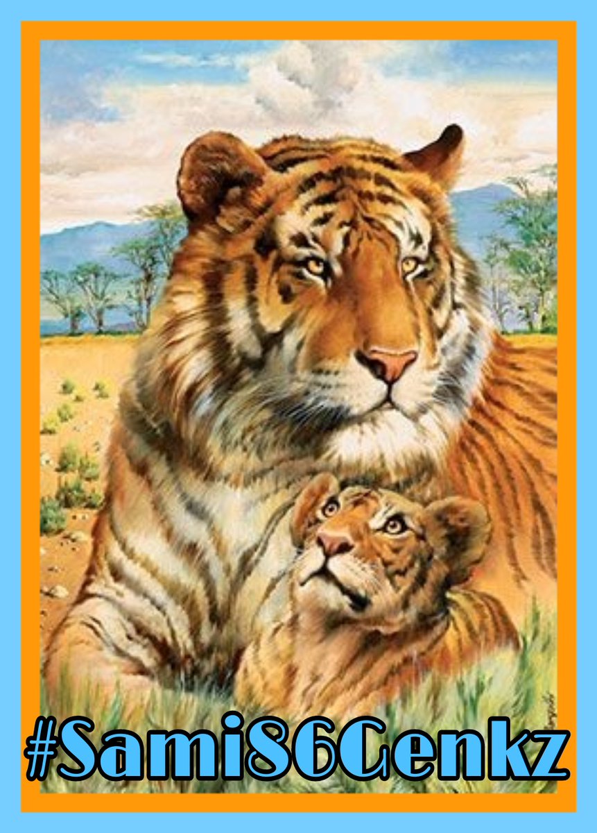 Схемы вышивок тигров. Вышивка тигр. Вышивка тигрица с тигренком. Вышивка тигра крестом. Вышивание крестиком тигрица с тигренком.
