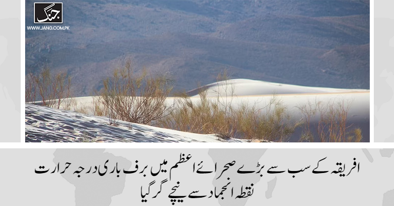 jang_akhbar's tweet photo. افریقی ممالک میں پھیلے صحرا ’’صحرائے اعظم‘‘ (صحارن ڈیزرٹ) میں برف باری ہوئی ہے اور درجہ حرارت نقطہ انجماد سے نیچے گر گیا۔

تفصیلات جانیے: https://t.co/r6CqAjHs4c

#DailyJang https://t.co/OxorkXrcxK