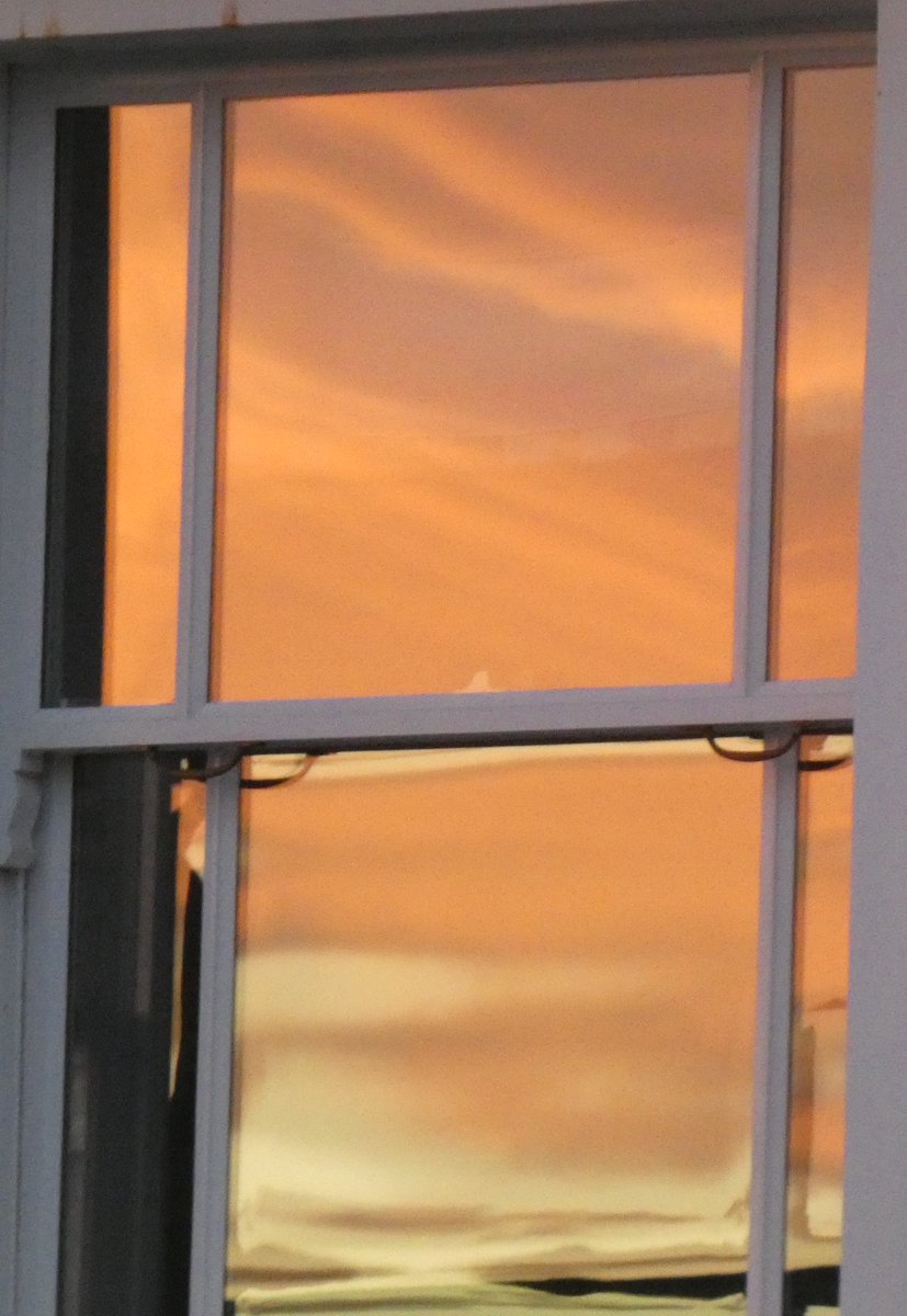 HirshC's tweet photo. reflected glory https://t.co/H8PW71ASU2