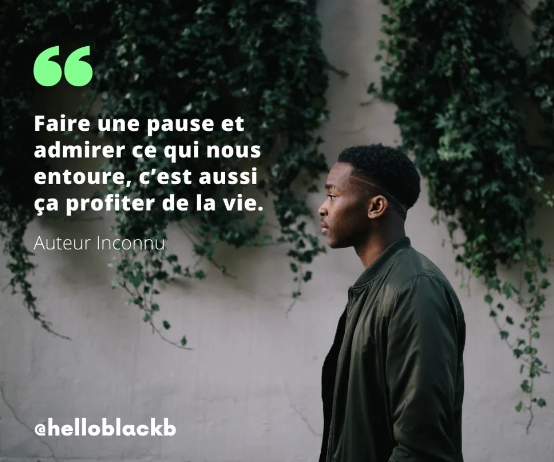 Hello Black Beauty tweet media