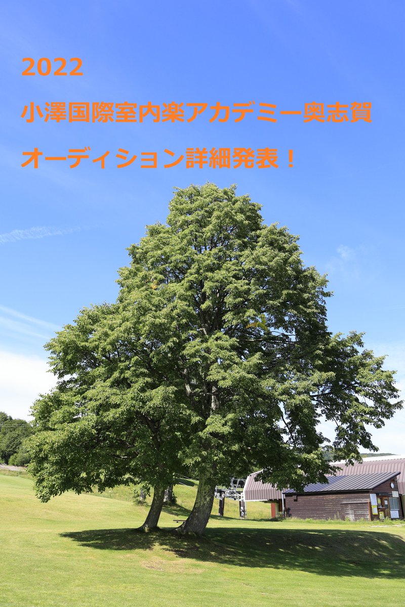 川本嘉子yoshikokawamoto Viola Yoshikoviola Twitter 川本嘉子yoshikokawamoto Viola Yoshikoviola Twitter