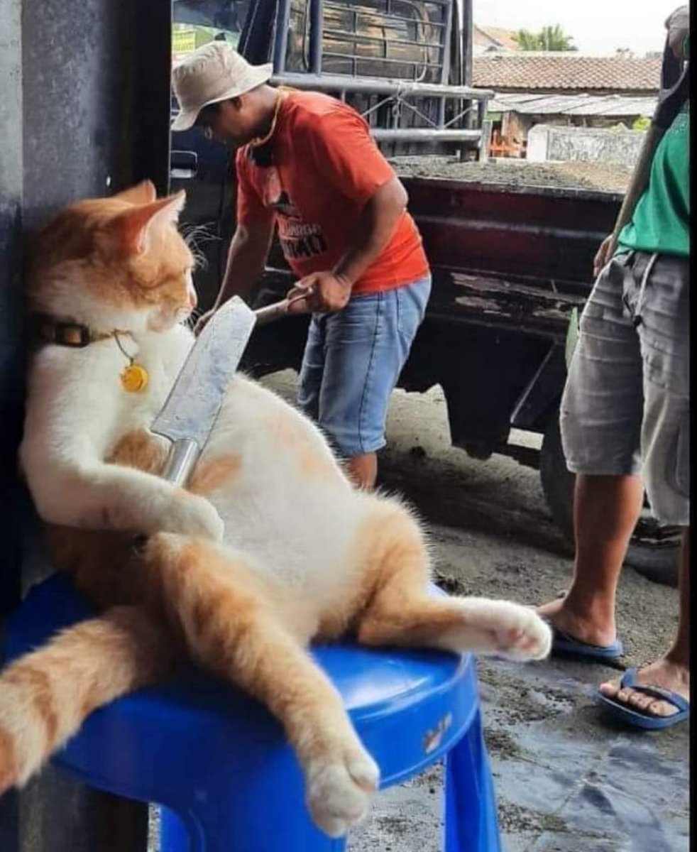 KhalifahMedia's tweet photo. Buat kerja tu elok2 laa...Laju2 sikit 😾😾😾 https://t.co/yEesUMWhUh