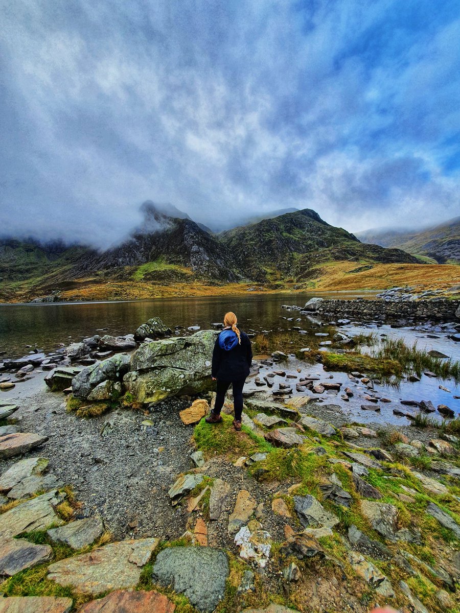 Portia Jones tweet media