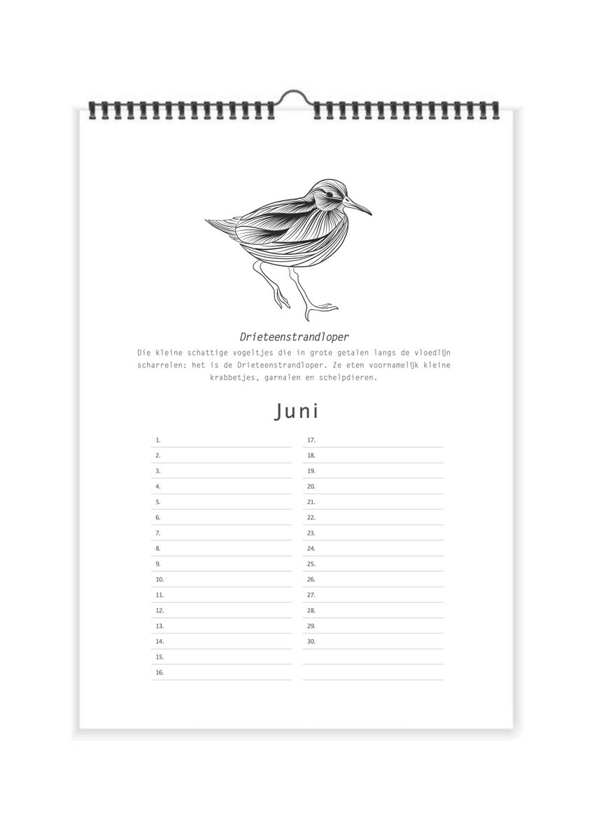 PRE-ORDER TIME AGAIN! 🥳 De nieuwe NOORDZEE-DIEREN KALENDER ligt bij de drukker! Een kalender met de mooiste illustraties van dieren die in &amp; dichtbij de Nederlandse Noordzee leven! ap.lc/AA4ZU #Noordzee #Terschelling