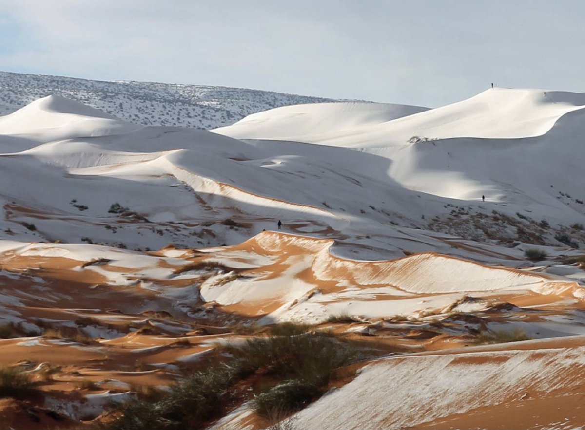 lcmcveigh's tweet image. Snowfall in the desert today, Ain Sefra in Algeria. Only the 5th time in 42 years - 1979, 2016, 2018, 2021, 2022. 📷: via Pinterest and by Karim Bouchetata #climate #unusualweather #Desert #snowday