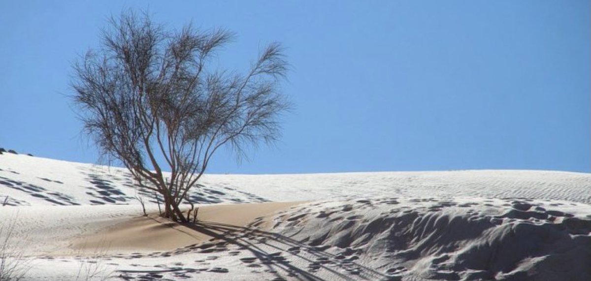 lcmcveigh's tweet image. Snowfall in the desert today, Ain Sefra in Algeria. Only the 5th time in 42 years - 1979, 2016, 2018, 2021, 2022. 📷: via Pinterest and by Karim Bouchetata #climate #unusualweather #Desert #snowday