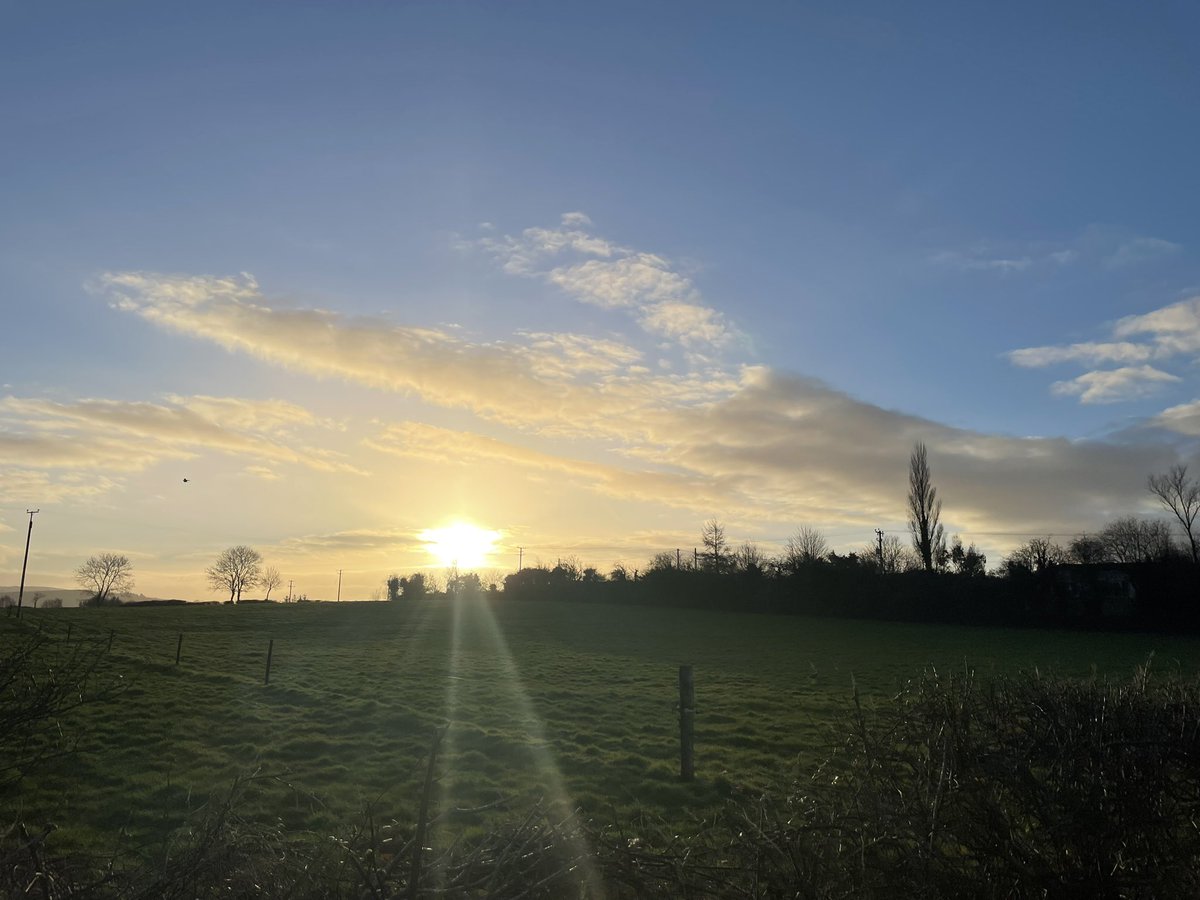 Norma Carr - Raising Vibrations tweet media