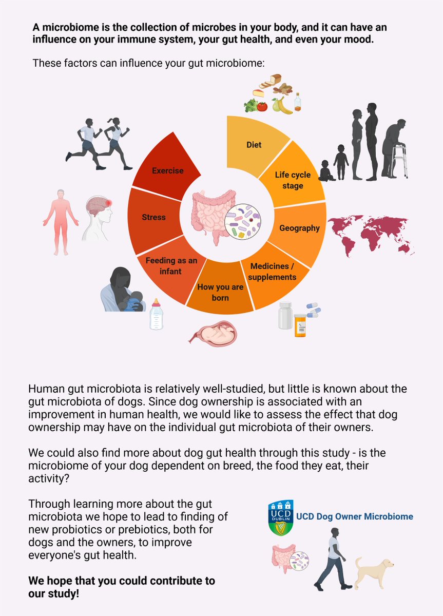 <a href="/UcdDogGutBiome/">UCD Dog Owner Microbiome</a> are looking for help.
They are mainly interested in Labradors, but other breeds and mixes are also welcome. For more information or to enrol in the study you can visit ucd.ie/dogownermicrob… or email dogownermicrobiome@ucd.ie