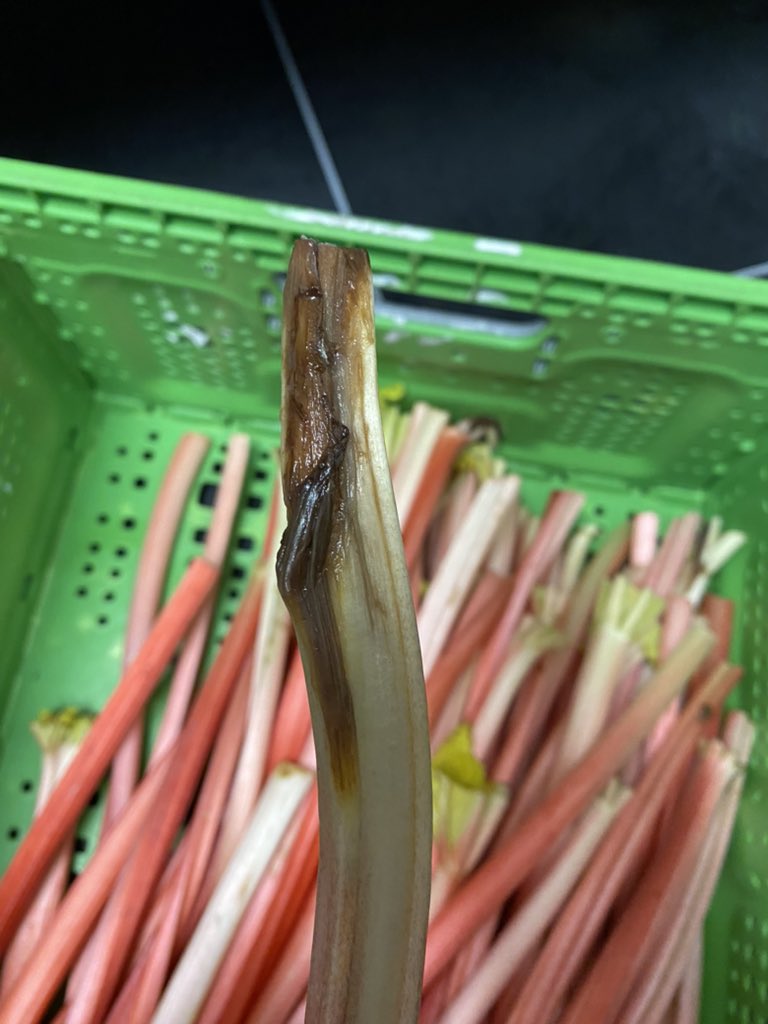 Paul Foster tweet media